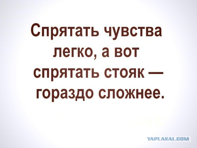 Весёлые картинки