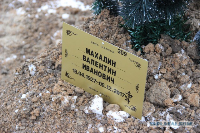 Ярославцы собрали деньги на дом ветерану: на стройку явилась полиция