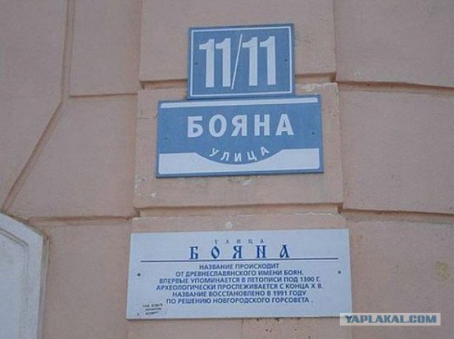 Картинки 146% баяны