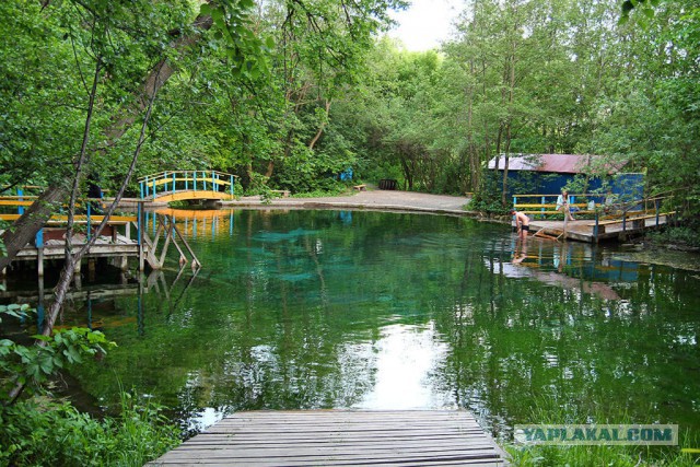 Сарва: загадочное озеро-родник в Башкирии, в который впадает подземная река