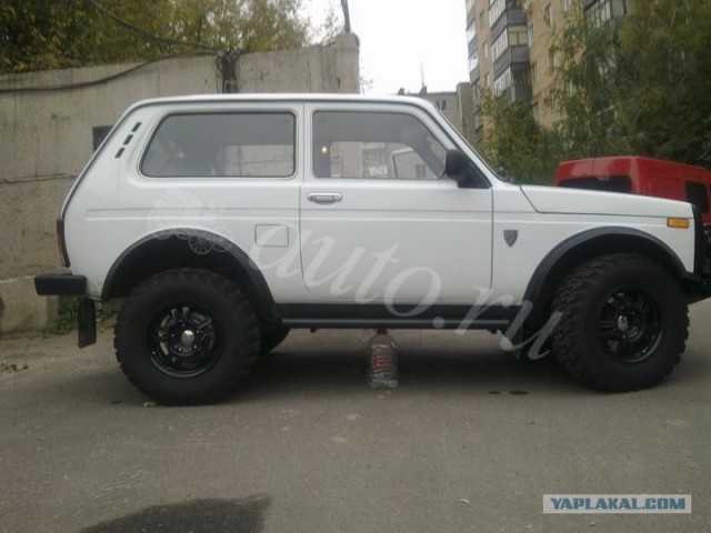 Поколения Нив