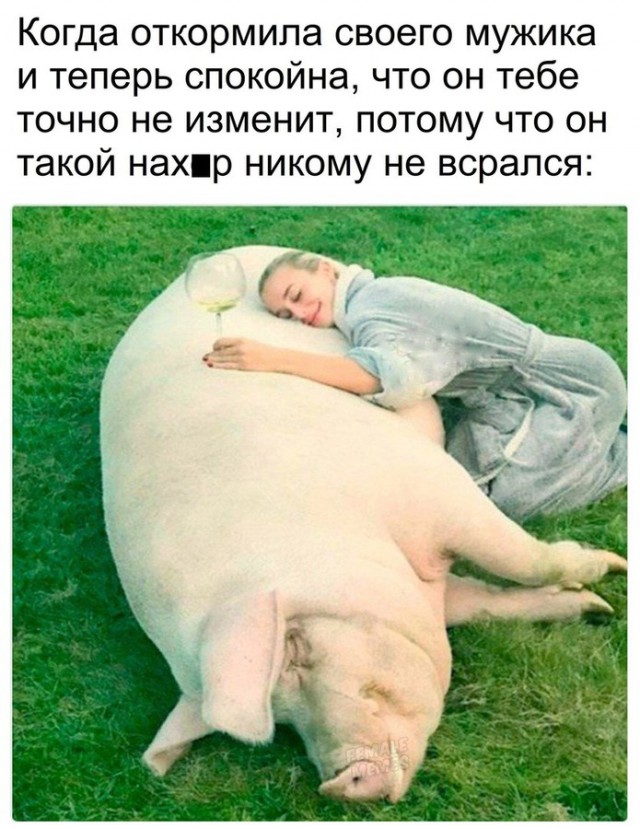 25 картинок на этот вечер
