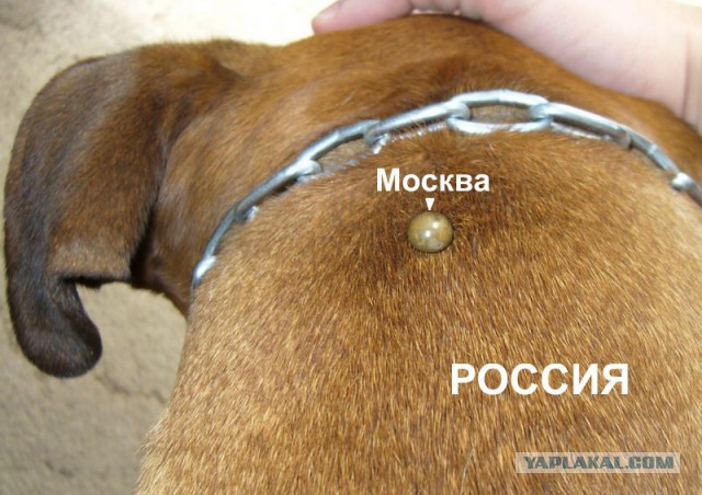 Москва отменила повышение пенсионного возраста
