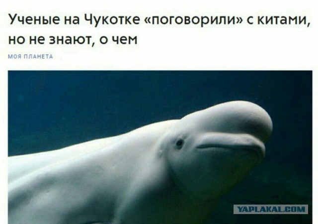 Немного картинок на вечер