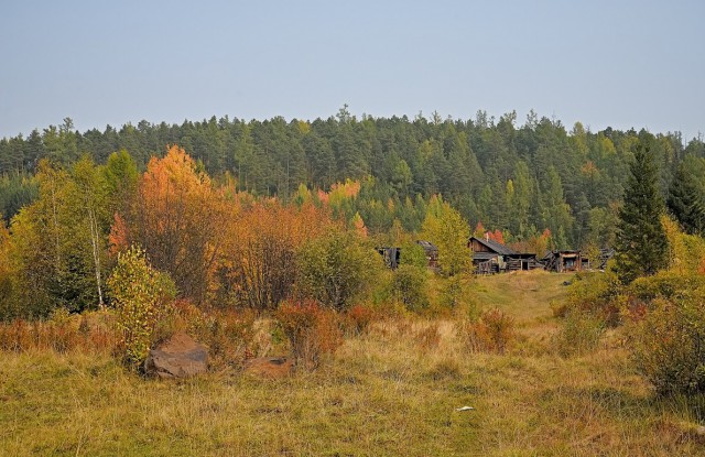 Осенняя тайга