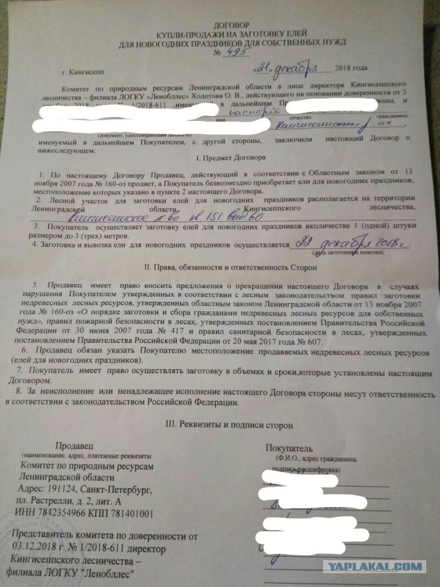 У кого самая дорогая елка на Рублевке?