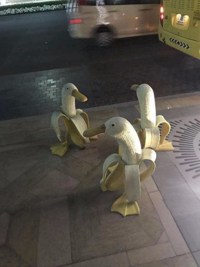 WTF: что тут происходит?