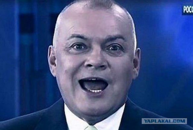 Единственному жителю обезлюдевшей деревни в Тверской области подключили цифровое ТВ