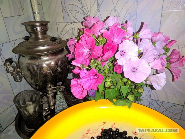 Щи с молодой капустой и консервированным горошком