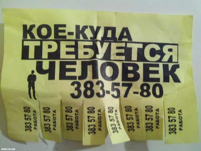 Перлы 12.08.2019
