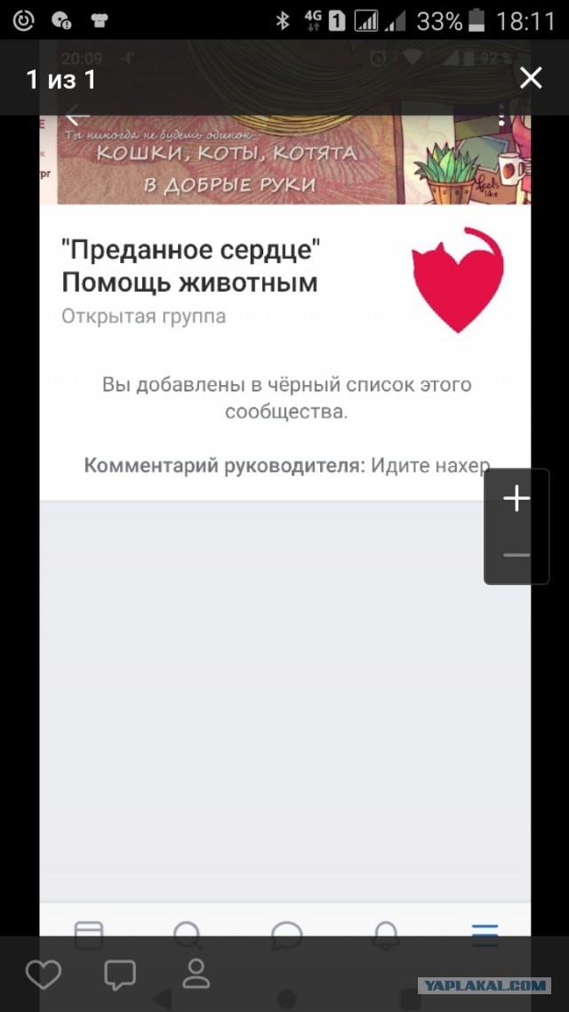 Помогите вернуть кота! Приют "Преданное сердце" украл кота и не отдает!-2