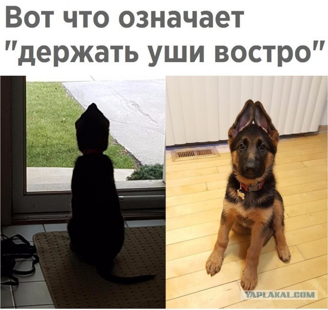 Немного картинок для настроения 24.01.20