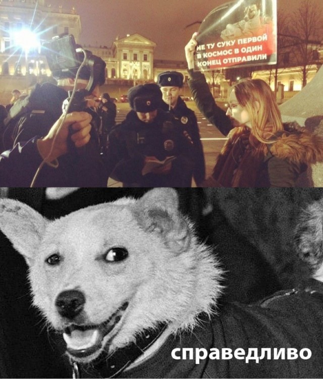 Просто картинки
