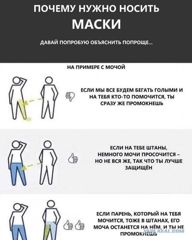 Брянск, полиция и "злостная преступница" без маски