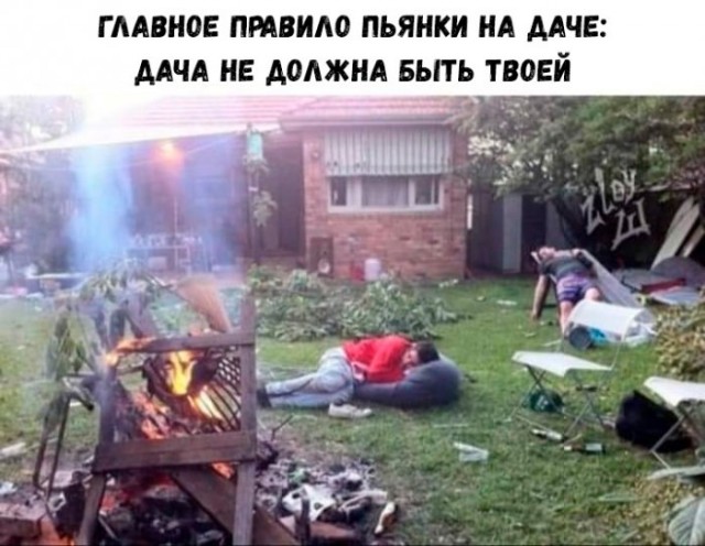 Немного картинок для настроения 25.05.20