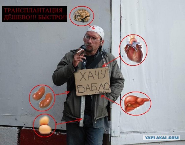 Помогите на бухло