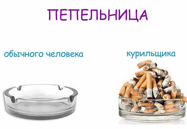 Бредзона 05.08.2020
