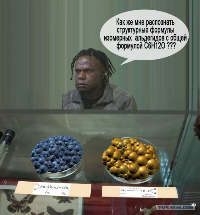 Удивительное рядом