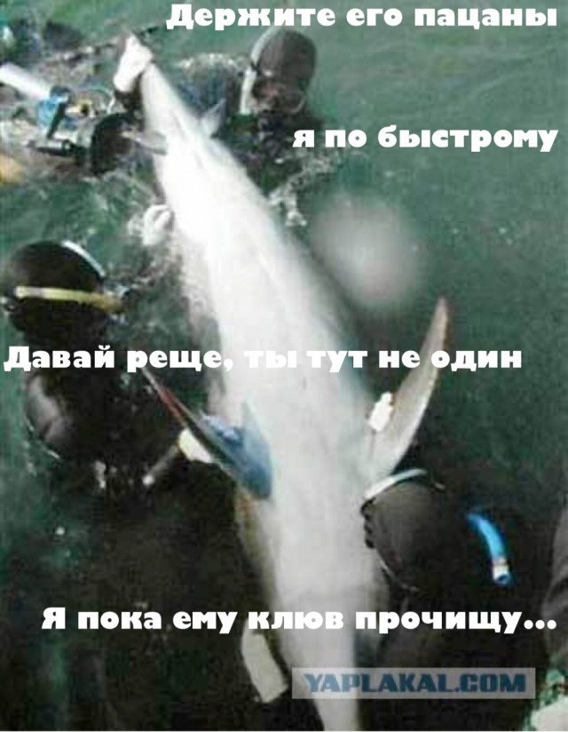 Рудиментарные дела. Кого, чему, зачем и что не нужно