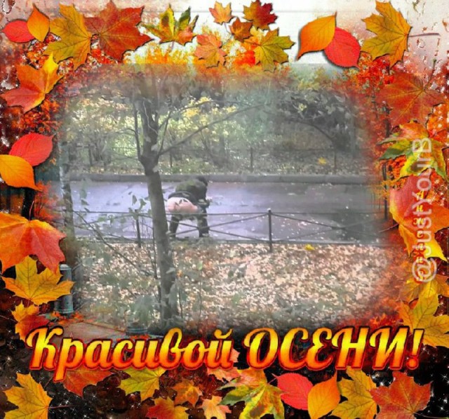 Расслабуха в эти выходные