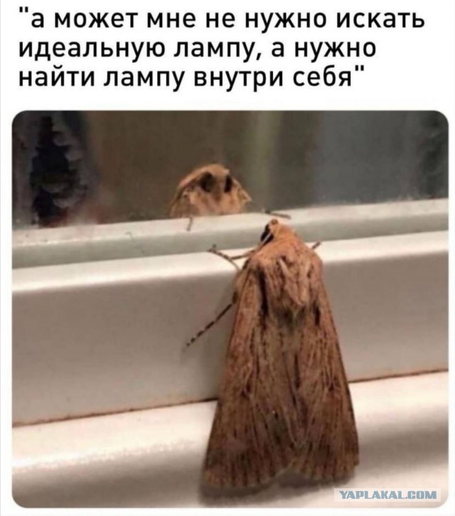 Картинки с надписями фразы и анекдоты