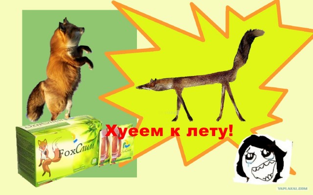 Таксидермия + наркомания