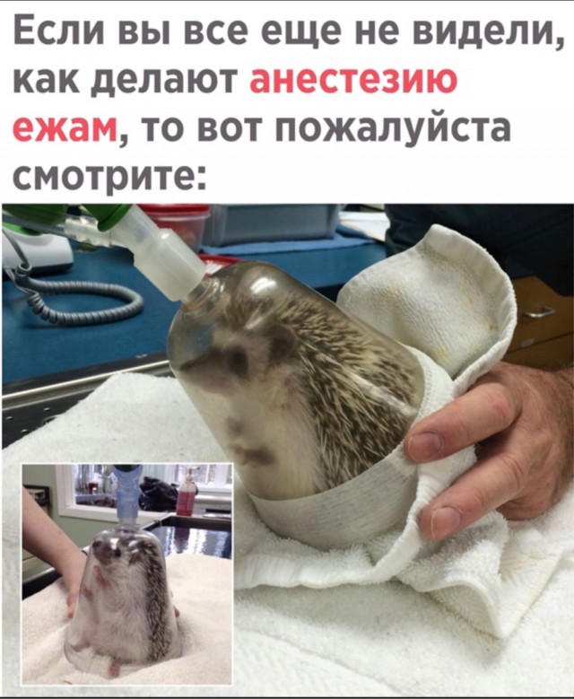 С миру по нитке на 2.02.21