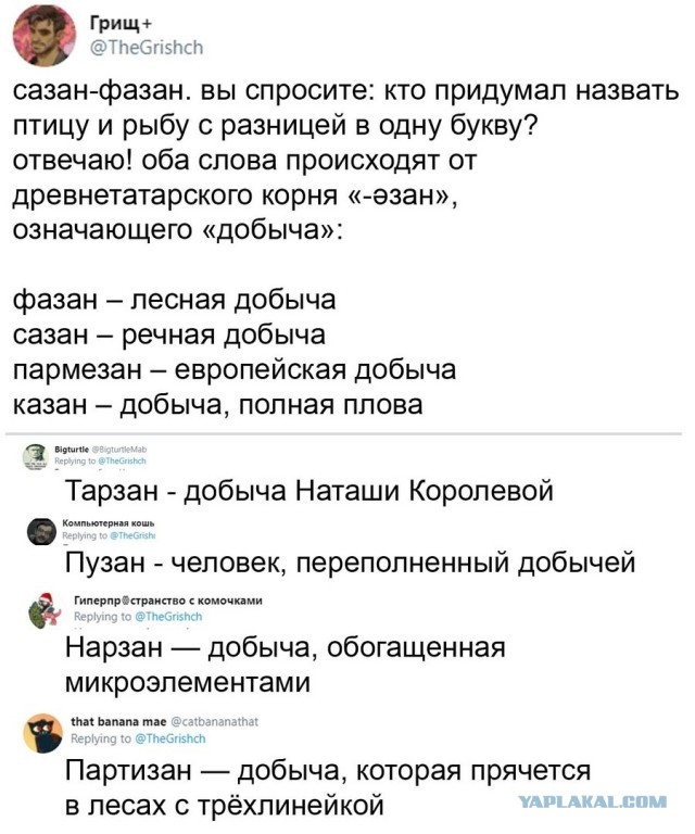 Свинегрет: картинки, надписи и прочее на 20.02.21 или №30