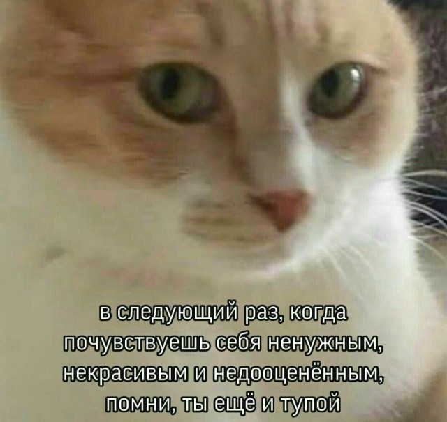 Это просто абсурд какой-то!