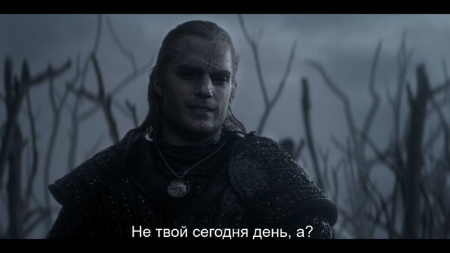 Лосенок потерял маму и вышел к людям
