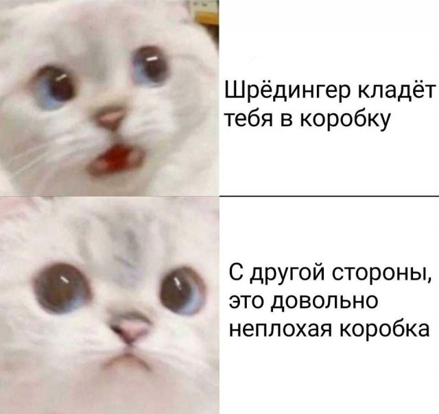 Картинки и мемы для настроения 28.07.2021