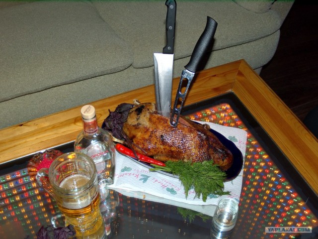 Все из рыбы!