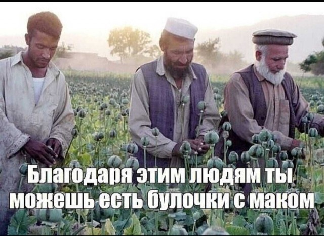 Картинки и мемы для настроения 08.09.2021