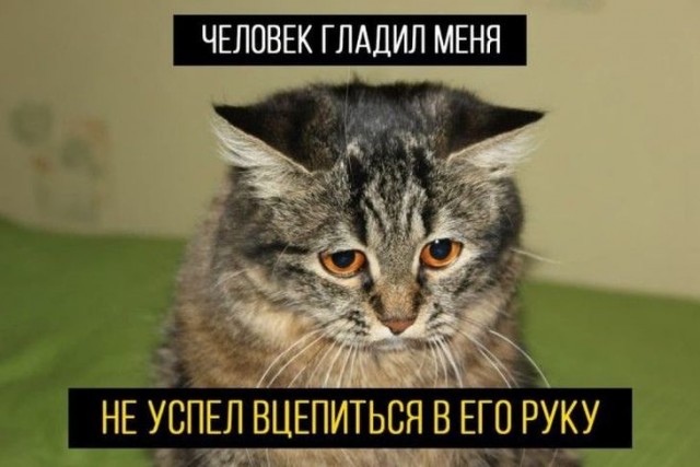 Картинки и мемы для настроения 30.09.2021