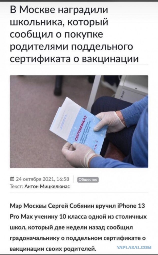 Весёлый полтишок 25.10