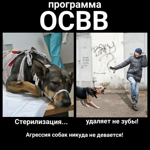 Губернатор Забайкальского края Александр Осипов: "Хоть кварталы оцепляйте и вакцинируйте всех по спискам"