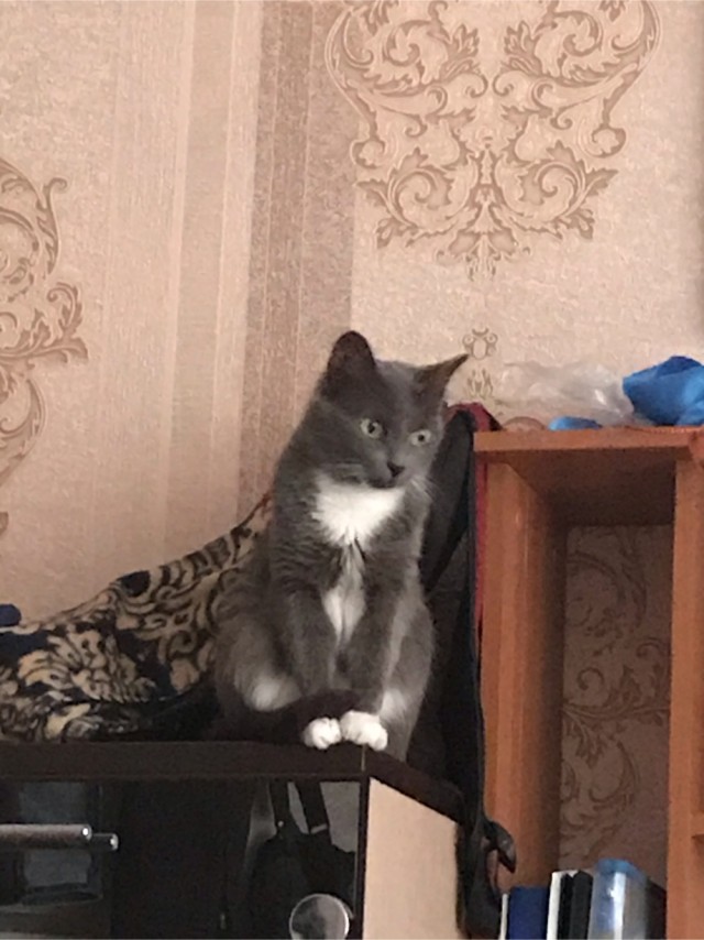 Котовторниковское