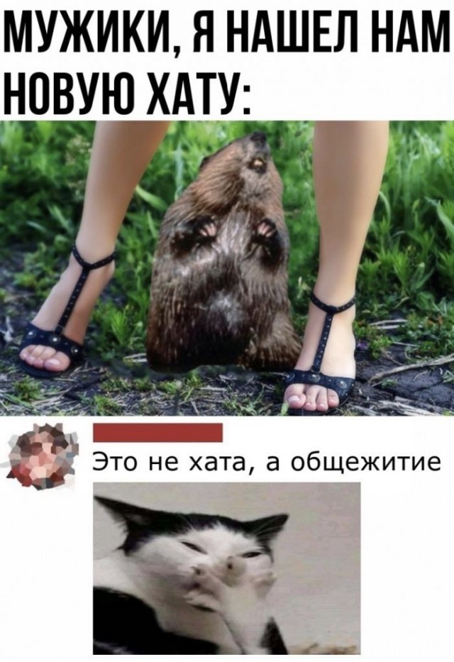Баянисто-небаянистый юмор 21.04.22