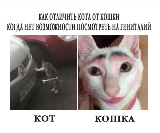 Картинки 20.05.22.