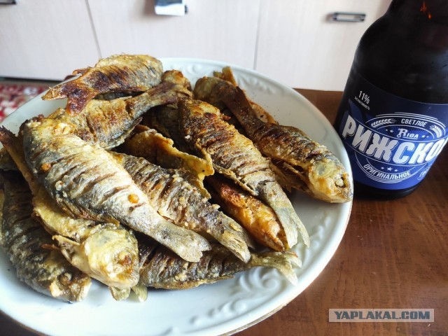 Жаренный карасик