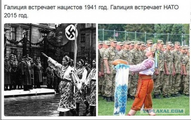 Референдумы в Херсонской и Запорожской областях запланированы на сентябрь