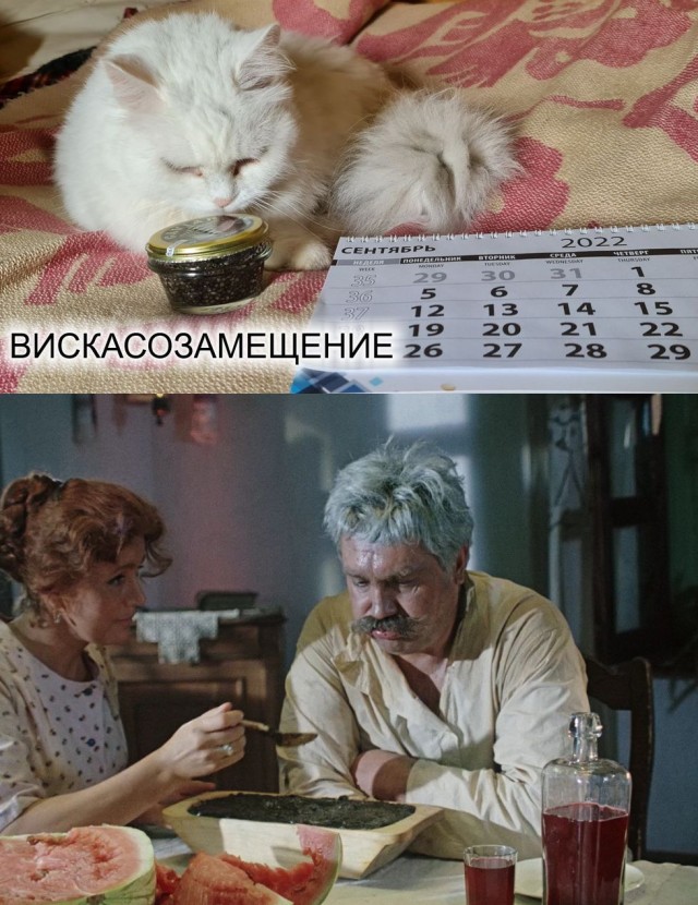 Котенок манула учиться греть лапки