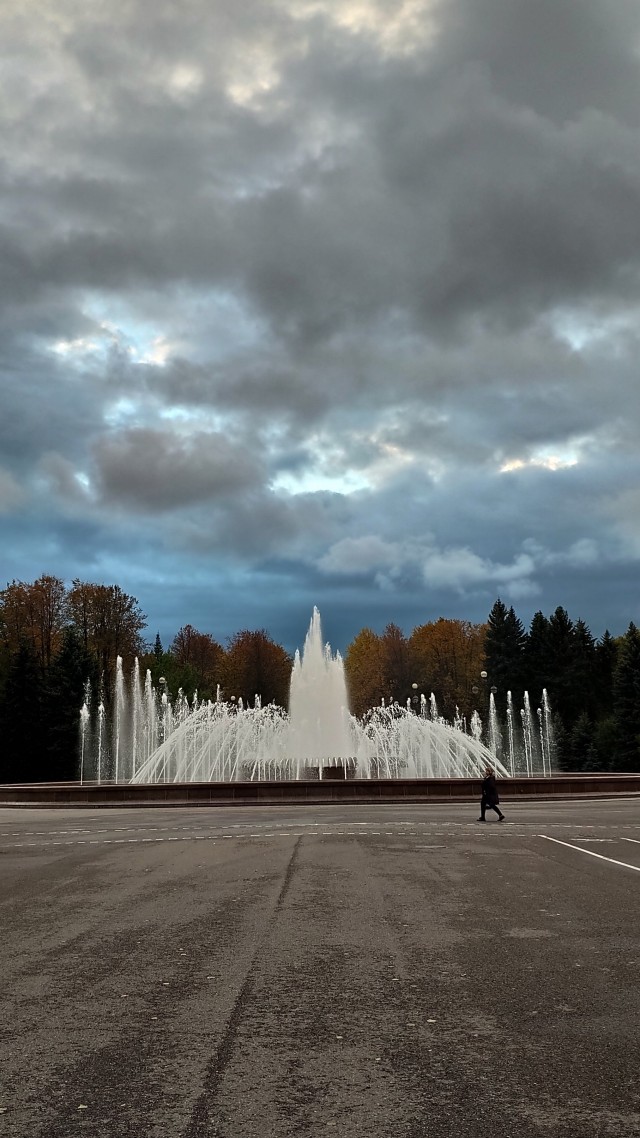 А может быть поделимся печальной красотой?