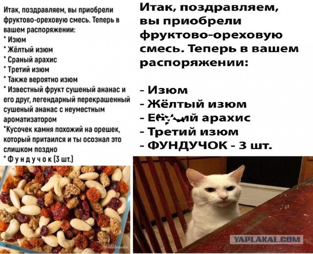 Забавные шутки и картинки из этих ваших интернетов 24.10.2022