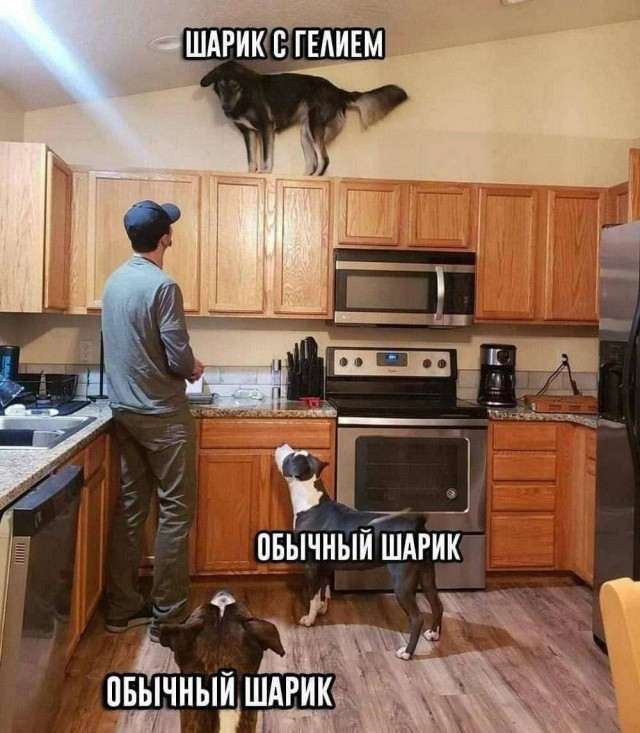 Что тебе нравится в девушках?