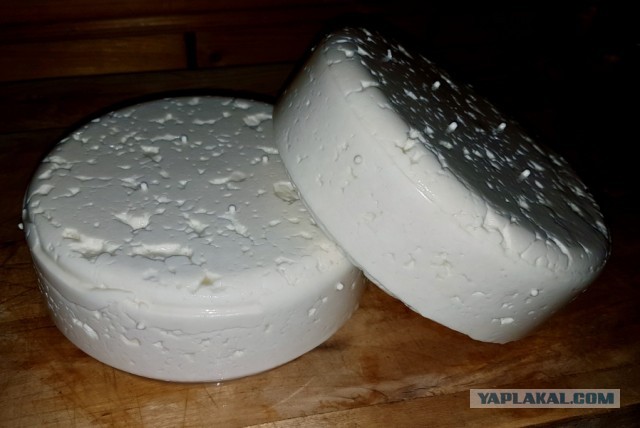 Сыр Маасдам