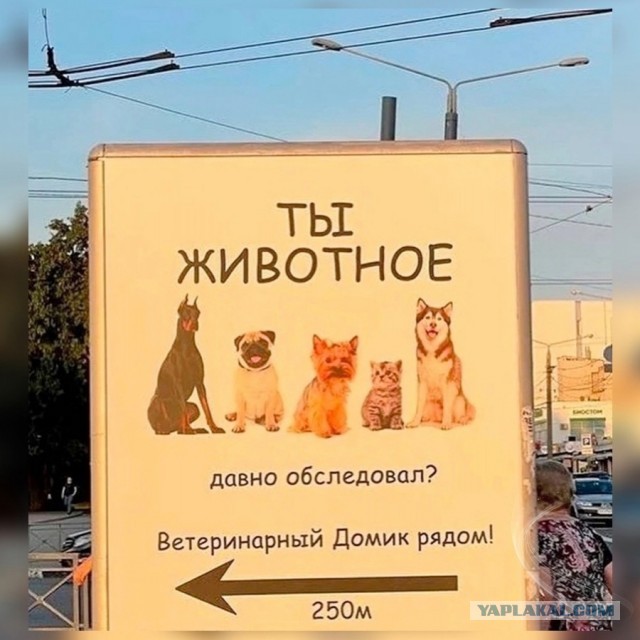 Победная поступь идиотизма по планете – том 10