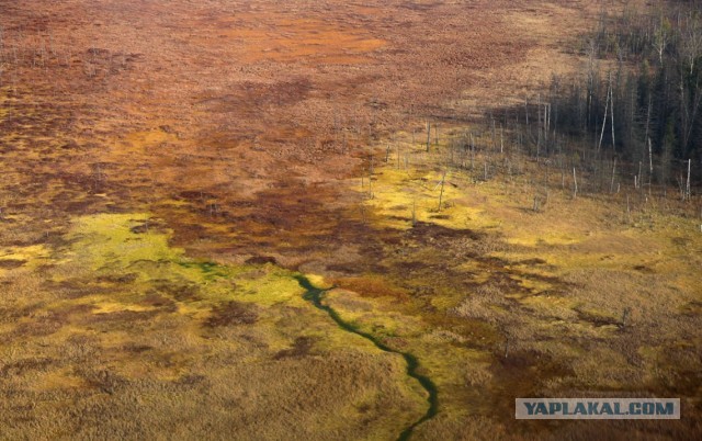 Сибирские перекрёстки