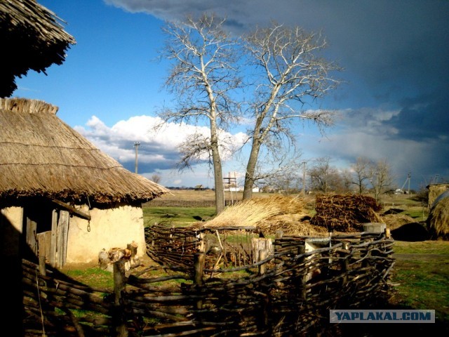 Мыльница
