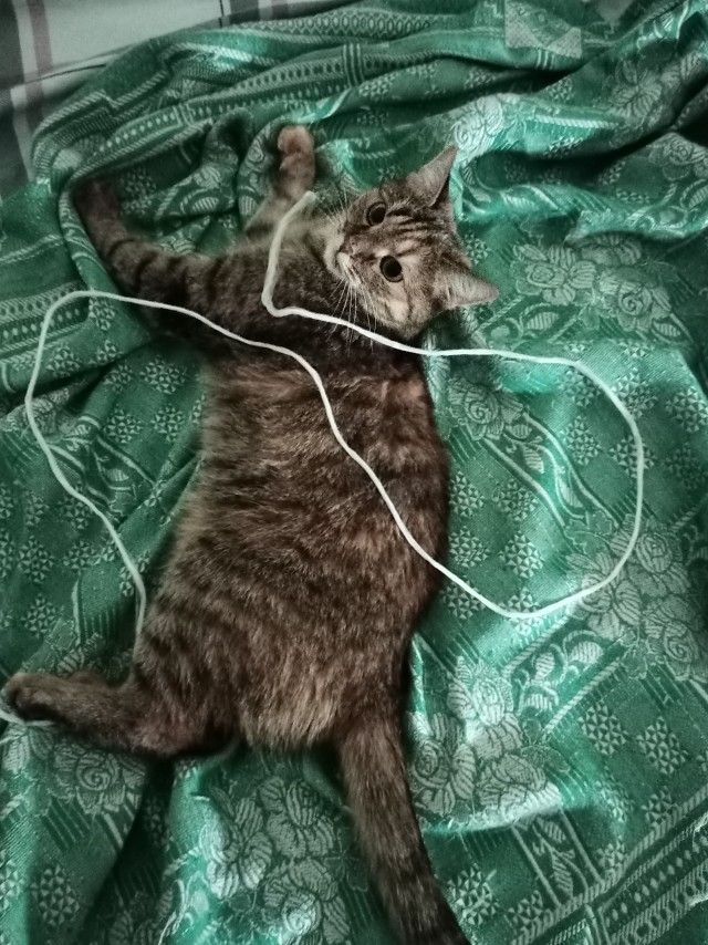 Вот